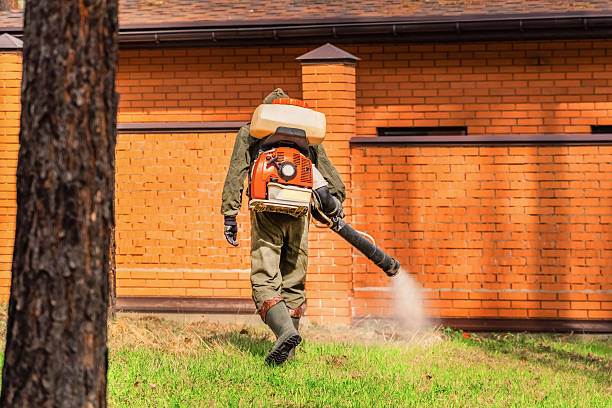 Bed Bug Clearance Verification and Documentation in Balm